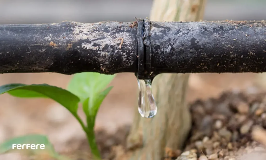 راهکارهای صرفه جویی در مصرف آب