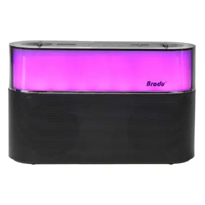 نمایش جزئیات اسپیکر بلوتوثی برودو مدل BTS-2189