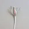 کابل تبدیل USB-C به لایتنینگ مدل MUQ93ZM/A - تصویر دوم